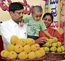 An excited child picking up a fruit at Mango Mela-2010 organised by HOPCOMS at Hudson Circle on Friday. DH photo