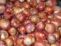 India set for record onion produce this year