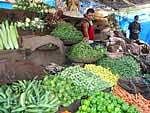 Food inflation eases to 16.23 per cent