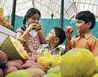 Yummy! Children relishing mangoes at Mango and Jack Fruit exhibition organised by the Horticulture Department at Lalbagh Glass House in Bangalore on Saturday. dh photo