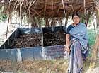 A vermi compost in Pura village.