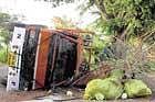 a day of mishaps:  A lorry transporting vegetables turned turtle after hitting a tree near Panasamakanahalli, Srinivaspur taluk on Saturday night. dh Photo