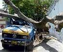 Aftermath: A tree fell on a water tanker in Rajajinagar following heavy rains which lashed the City on Tuesday. No one was injured. KPN