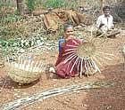 Pakeeramma of Koracharahatti in Kadur taluk weaving a basket.  dh photo