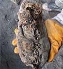 A handout image released in London on Wednesday, and made available by the University College Cork in Ireland, shows the 5,500-year leather moccasin said to be the world's oldest leather shoe.