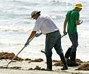 Workers clean up oil from the Deepwater Horizon oil spill. AP