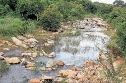 Still born: Forest land proposed for construction of dam for Yaragol project in Bangarpet taluk. DH PHOTO