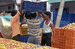 Workers get busy thanks to brisk business at the tomato market in Srinivaspur. DH Photo