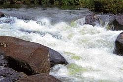 The River Barapole in South Kodagu in full flow. DH photo