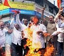 Shiv Sena activists burns an effigy of James Laine during a protest in Thane, near Mumbai on Sunday. PTI