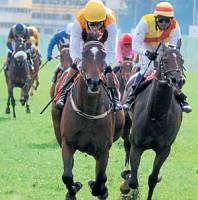 Richard Hughes (left) guides Moonlight Romance to  victory in the Kingfisher  Derby in Bangalore on Sunday. DH Photos