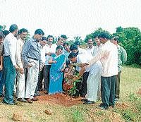 District-in-Charge Minister Krishna Palemar planting a sapling at Vanamahotsava organised by Asare Charitable Trust at Parapade Government School premises in Mangalore on Sunday. DH photo
