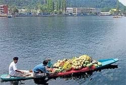 Kashmir, the new paradise for  curfew tourism