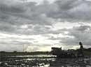 A farmer works on his paddy field against the backdrop of monsoon clouds at Shanmura on the outskirts of Agartala. India's monsoon, deficient but well distributed so far, is expected to intensify within 10 days. Reuters