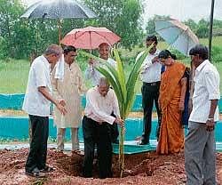Karnataka Bank Non-Executive Chairman Ananthakrishna planting a coconut sapling as part of Aatid Onji Dina at Pilikula. DH Photo