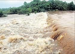 Swirling waters: River Netravathi in spate near Dharmasthala on Saturday. KPN