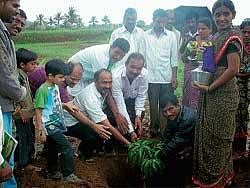 NABARD AGM Dr Diwakar Hegde planting a sapling during Hasiru Habba celebration organised by NABARD and Bhoomi Susthira Abhivriddhi Samsthe in Chatnapalya of Kadur taluk. Nagenahalli Gram Panchayat President Mahesh, Taluk Panchayat member N H Mohan, Anna Naik, Mallikarjun and the committe mebers of Raitha Koota look on. DH Photo