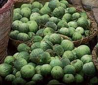 Baskets full of Udupi Gulla. DH Photo