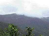 The 1,600-km-long Western Ghats, covering an area of 1.6 lakh sq km, is one of the four biodiversity hotspots of the country. DH Photo