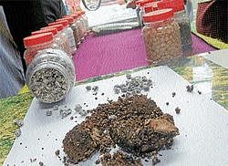 Substandard seeds and fertiliser displayed at the festival in Chamarajanagar. DH Photo