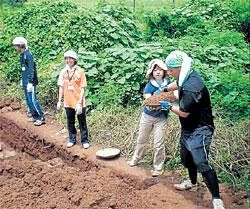 Tokyo touch: Volunteers from Japan working at a house construction site in Tadlapur village of Bidar taluk. DH Photo