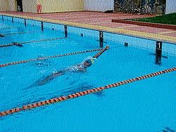 Akash A H of VVPUC swims for the gold medal at the district-level swimming tournament on Saturday. DH photo