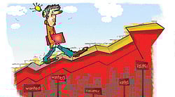 New Courses New Opportunities In The Knowledge Sector