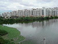 The Chinnappanahalli lake at Doddanekundi. The four lakes in the area have proved to a boon for builders to market apartments.