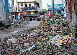 A view of the uncleaned Kasturba road in Hassan. DH Photo