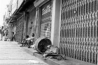 crippling normal life Workers take rest in front of closed shops on Avenue Road, Bangalore, during a bundh. DH photo