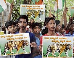 Youth Congress members protesting the deaths of tigers, in Bangalore on Monday.  DH Photo