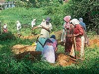 Women engaged in work in Munnur.