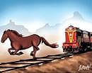 Horse wins 'life race' with train