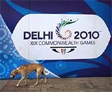 A stray dog walks past a billboard of the Commonwealth Games in New Delhi on Sunday. AP