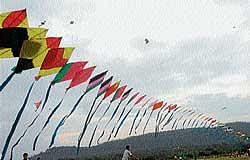 A chain of kites flying high at Hotel Lalithamahal Palace helipad, in Mysore on Saturday. Dh Photo