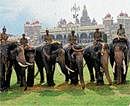 DH file photo of Dasara elephants. DH Photo