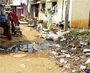 Potential Threat: Children play in unhygienic surroundings at Darga Mohalla thus making them vulnerable to diseases.  DH Photo
