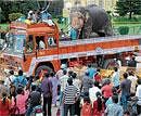 Bye: People gathering even as dasara elephant mounted on a truck leave Palace premises in Mysore on Wednesday. DH Photo