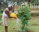selfless service Gurikar watering plants at a random spot in Mysore.  Photo by Shyam Sundar Vattam