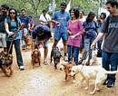 in support Participants at Pet-a-thon, a marathon for pet lovers.