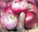 PM steps in to stem  onion prices