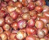 Onion prices climb further; Govt sees prices easing in 2-3 weeks