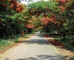 Judges' quarters on Vet campus fraught with risk