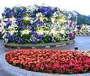Full bloom: The Taipei International Flora Exposition in Taiwan. photo by  Authors