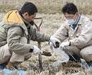 Fukushima Prefectural officers collect soil to check if it is contaminated by radioactive materials or not at a rice paddy in Kunimimachi, northern Japan Thursday. AP