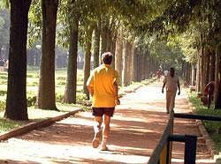 Brisk walk daily 'can help beat the blues'