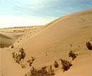 Gobi Desert, Inner Mongolia Autonomous Region, China. CourtesyJunming GFDL