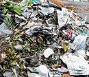 Palike finally has a plan for wet garbage