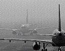 Season's first fog hits flights at BIA