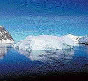Arctic sea could be ice-free by 2015